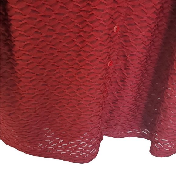 Vintage  Laura Plus Button Front Shirt with Pointed Collar - Picture 4 of 7